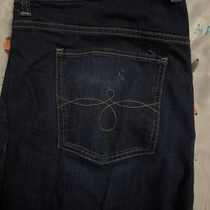 Lucky Brand Jeans Ginger Skinny 18W